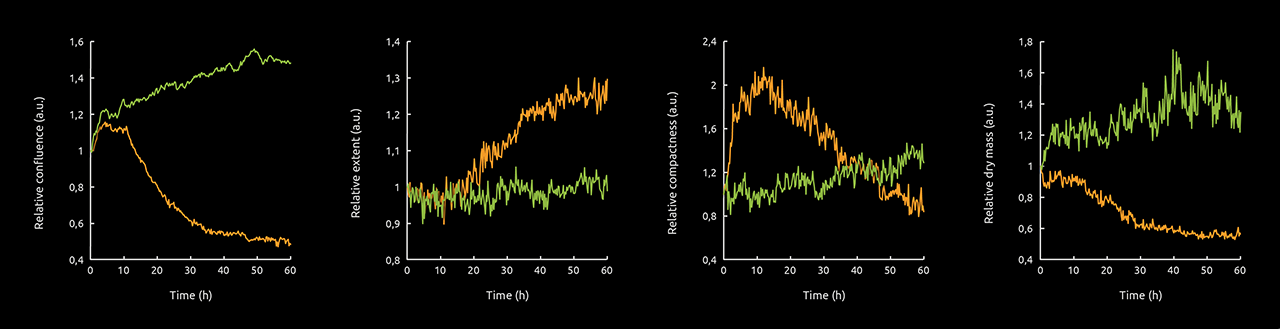 Staurosporine Graphs Staurosporine Graphs