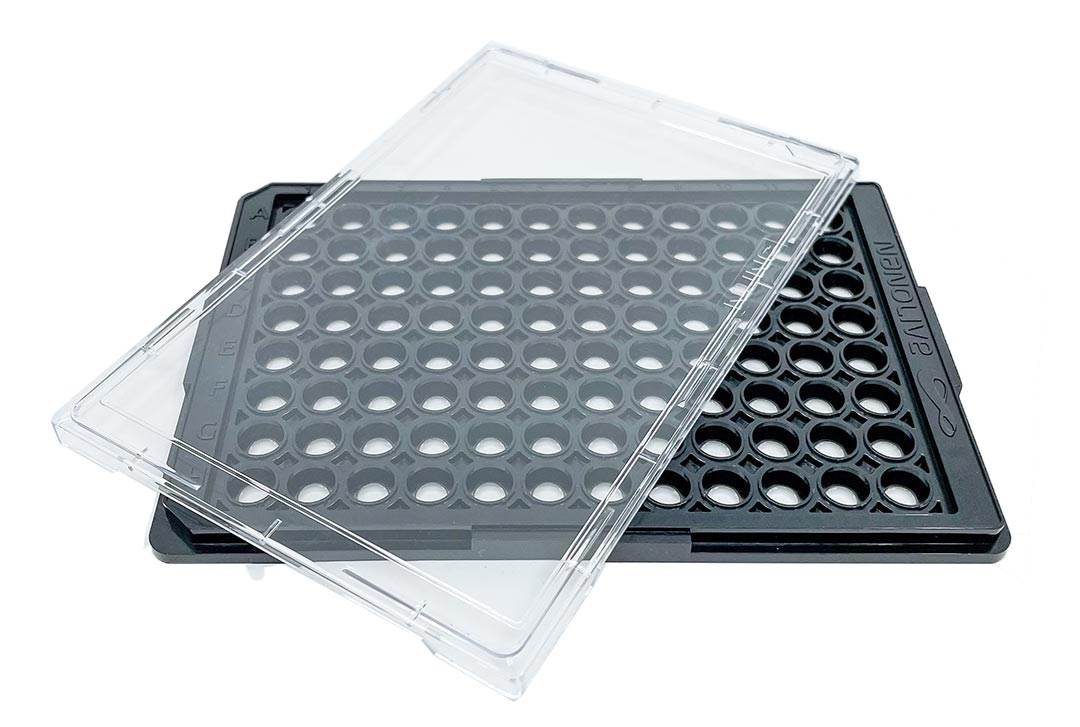 LIVE96 Plates LIVE96 Plates