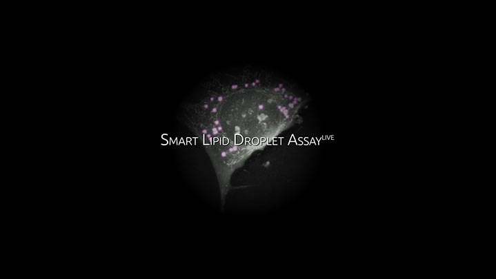 LCDA_thumb