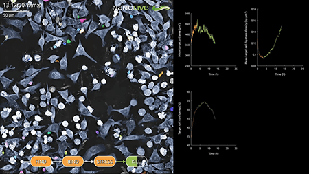 Live T cell Assay Live T cell Assay