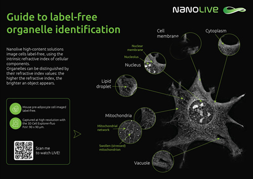 Organelle guide poster