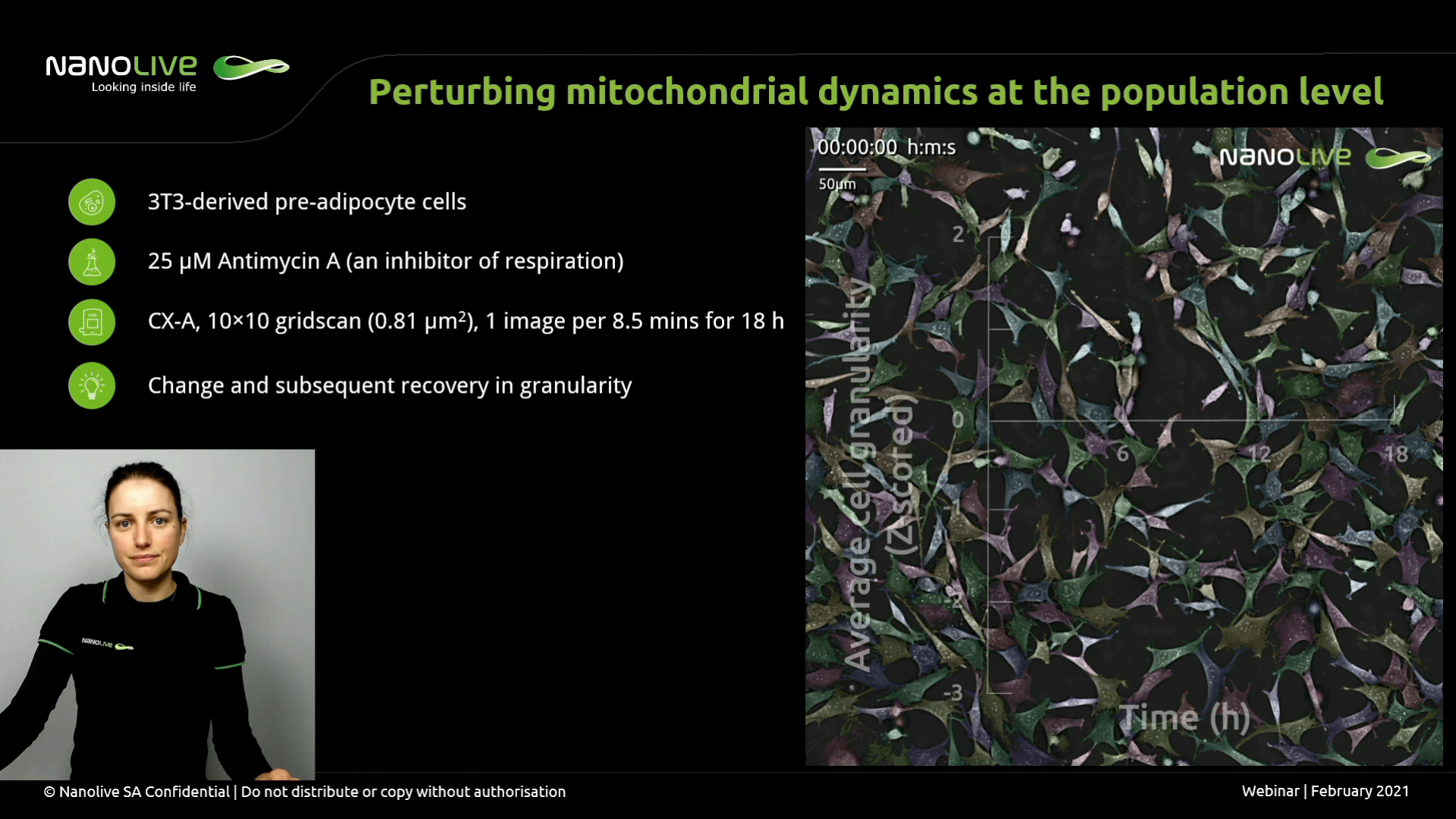 Image Label-free quantification of cell metabolism: focus on mitochondria and lipid droplets dynamics Image Label-free quantification of cell metabolism: focus on mitochondria and lipid droplets dynamics