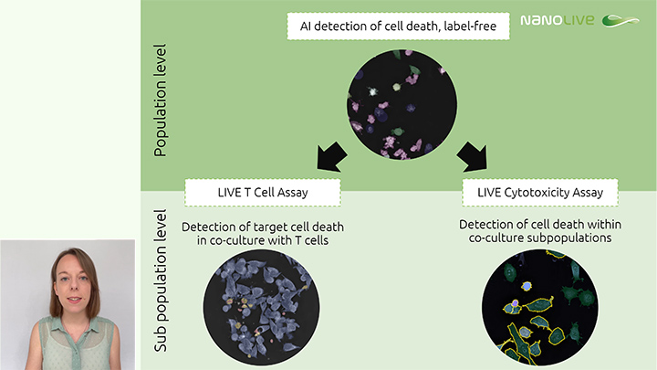 High content in vitro imaging for translational success: targeted therapies