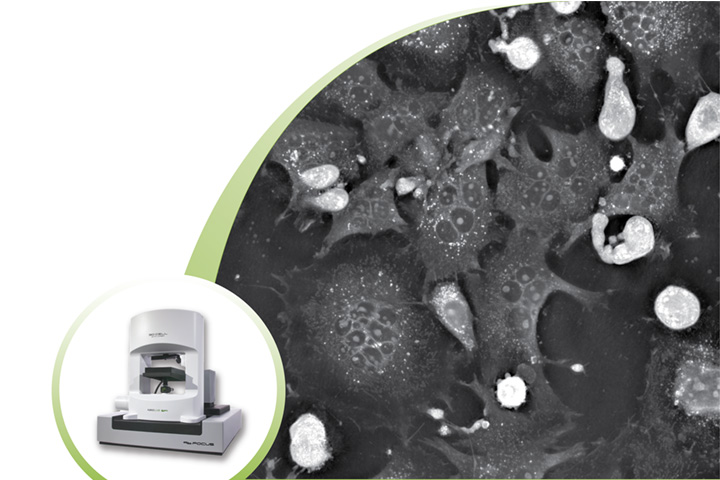 miniseries-covers_no-logo-03 Thumbnail Discover label-free imaging technology with Nanolive Miniseries, Episode 3: What makes Nanolive’s approach to holotomography unique?
