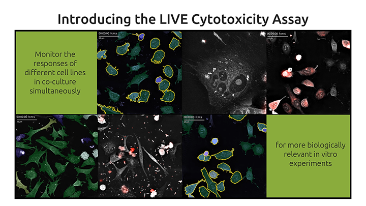LIVE Cytotoxicity Assay LCDA_thumb