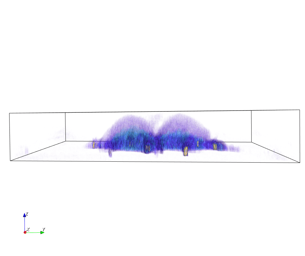 Stem Cells mitosis - label-free live cell imaging - side view
