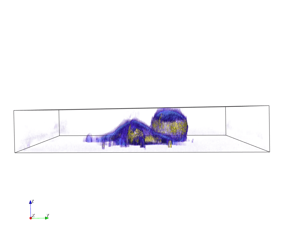 Stem Cells mitosis - label-free live cell imaging - side view