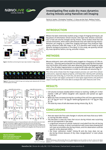 Investigating fine scale dry mass dynamics during mitosis Investigating fine scale dry mass dynamics during mitosis