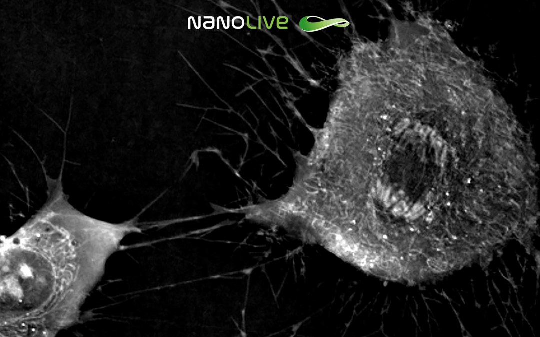 The Nanolive backgrounds for video conference calls are finally here!