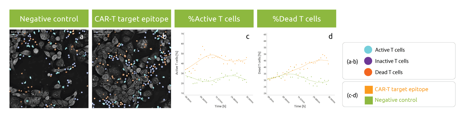 CAR-T-activation-assay_graph2 Figure 1. Plot of the mean count of mitochondrial branches in control and antimycin-treated cells
