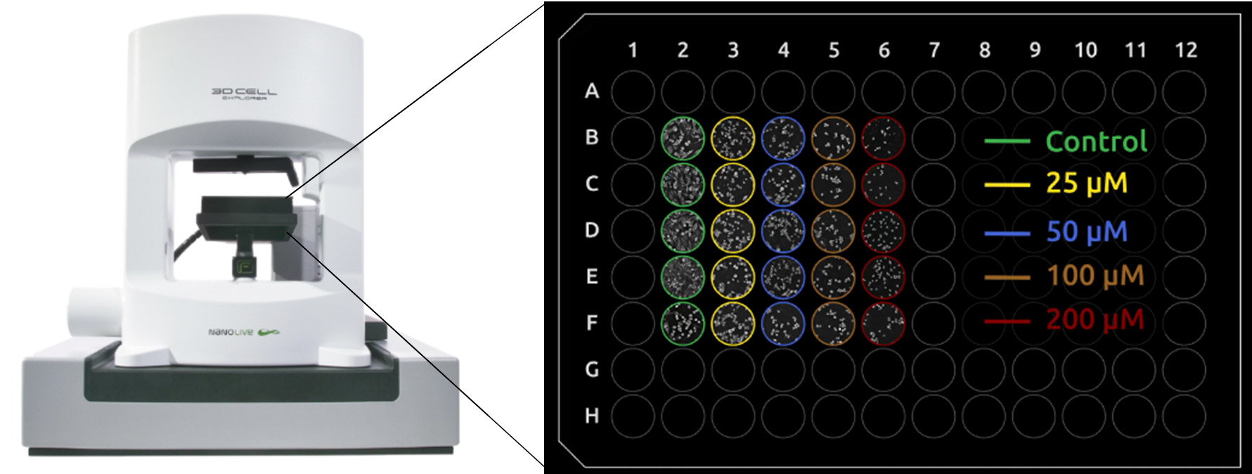 CX-A with 96-well plate