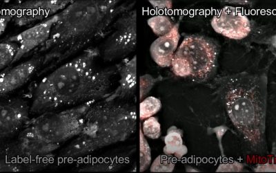 How do you trust your live cell imaging correlates with experimental conditions?
