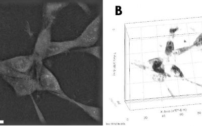 New Scientific Publications with the 3D Cell Explorer