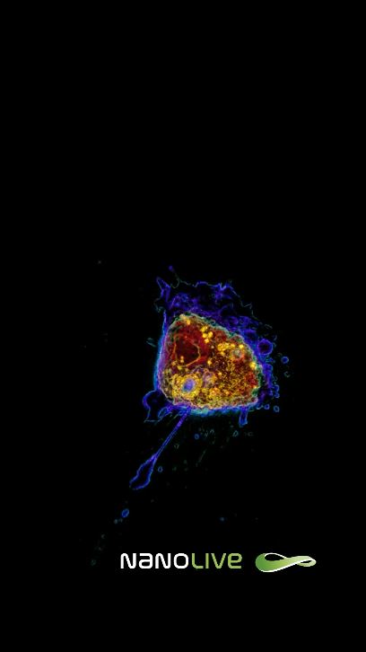 https://we.tl/t-QTNQq5jkgw Apoptosis wallpaper