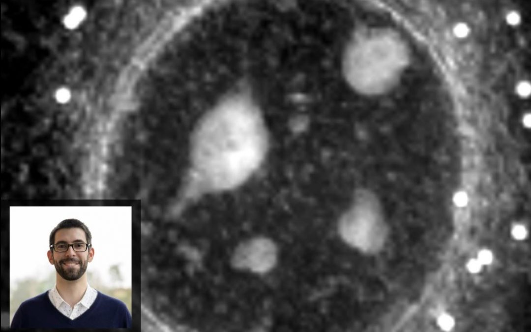 Feature Client: Patrick Sandoz from the KTH Royal Institute of Technology (Stockholm, Sweden)
