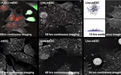 Nanolive at ISSCR June 20 to 23 in Melbourne, Australia