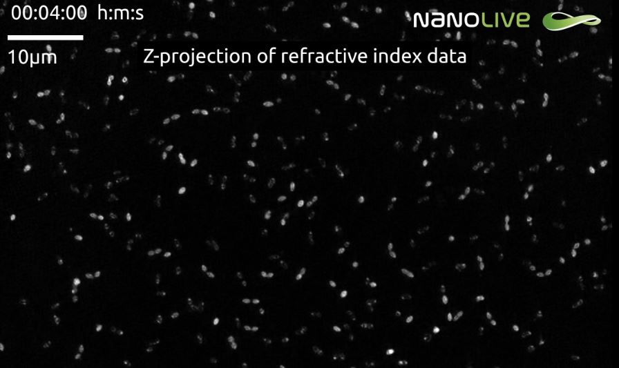 Nanolive label-free live cell imaging weighs in on the fight against antibiotics resistance