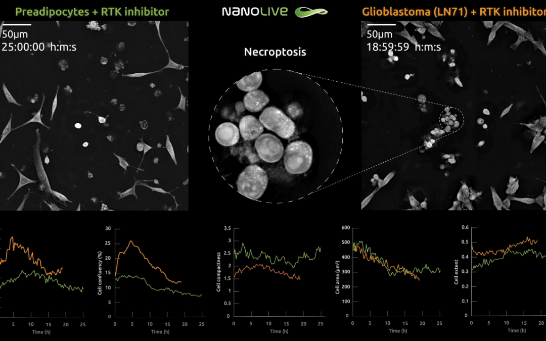 How do live cells respond to receptor tyrosine kinase (RTK) inhibition?