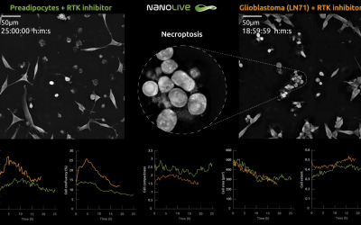 How do live cells respond to receptor tyrosine kinase (RTK) inhibition?