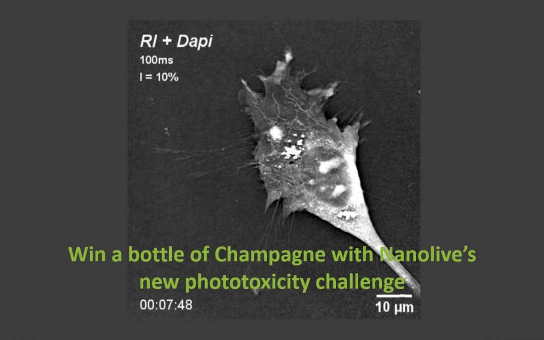 Win a bottle of Champagne with Nanolive’s new phototoxicity challenge
