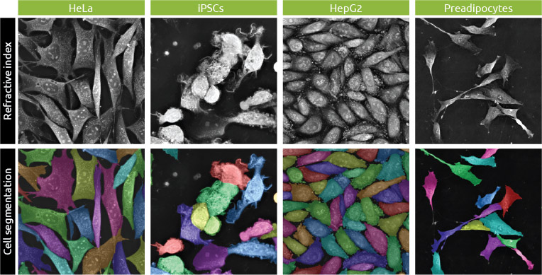 Cell segmentation in a wide range of cell types