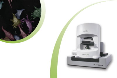Thumbnail Discover label-free imaging technology with Nanolive Miniseries, Episode 4: What can we learn from label-free cell images using Nanolive’s AI-powered analysis?