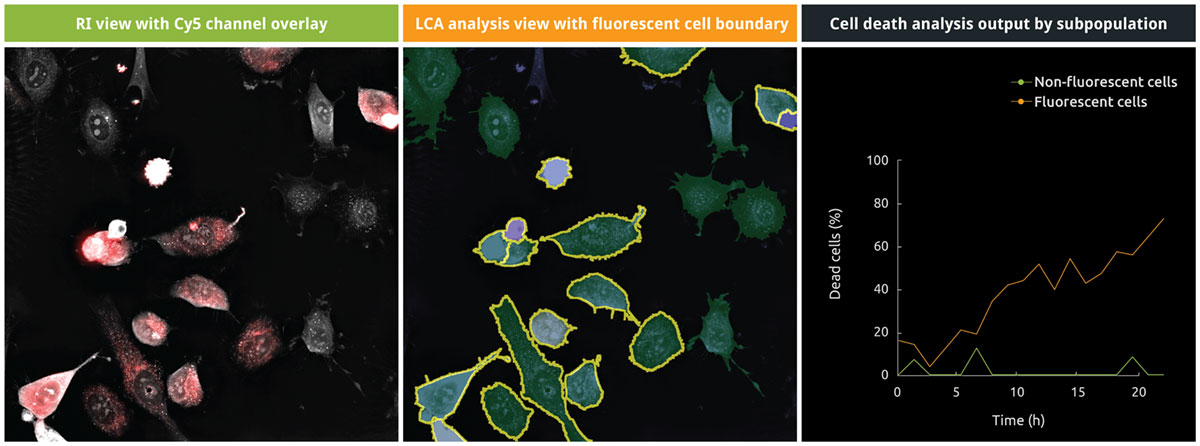 Figure-13 Detecting specific cell death in different cell lines in co-culture.