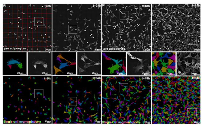 Image showing EVE Analytics precise segmentation