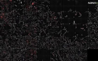 Free Webinar July 30: Automated Label-free Live Cell Imaging with the CX-A
