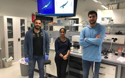 Nanolive supports EPFL’s iGEM team