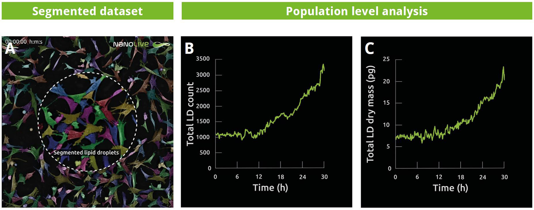 Image 1 - Quantifying LD dynamics at population level