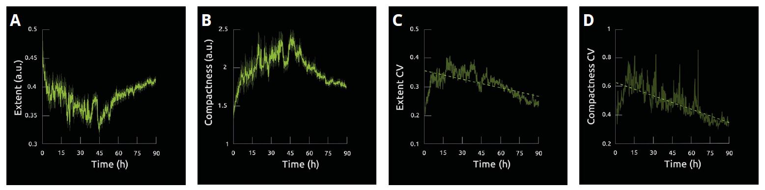Image 2 - Unperturbed 3T3-derived pre-adipocyte cells label-free live cell imaging for 90h