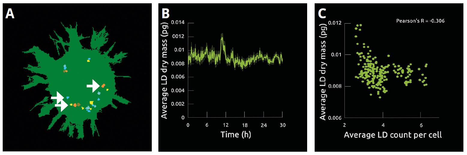Image 3 - Quantifying LD dynamics at the individual level