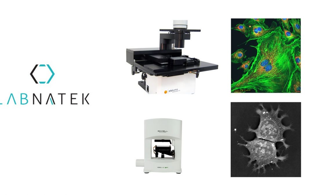Nanolive at 4th Baltic Stem Cell Meeting