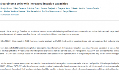 Molecular heterogeneity in breast carcinoma cells with increased invasive capacities