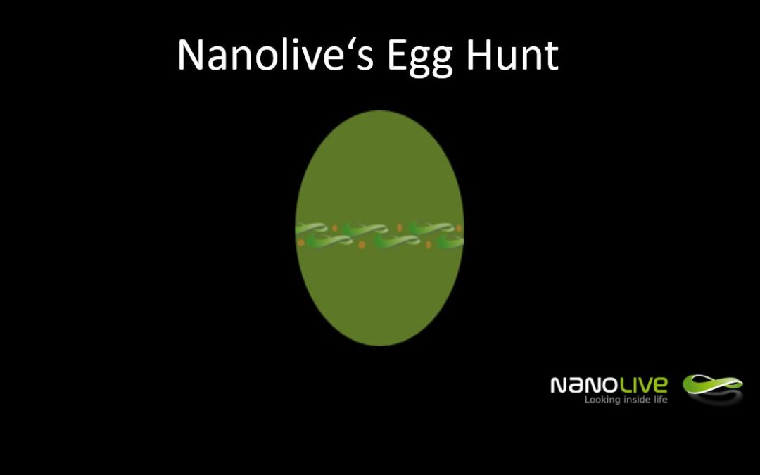 Contest: Nanolive’s Egg Hunt