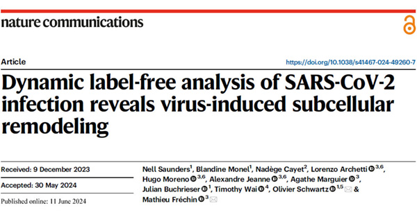 Nature-Communications_01 Dynamic label-free analysis of SARS-CoV-2 infection reveals virus-induced subcellular remodeling