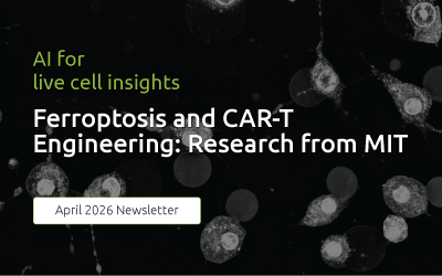 High resolution microscopy image of ferroptotic cells.