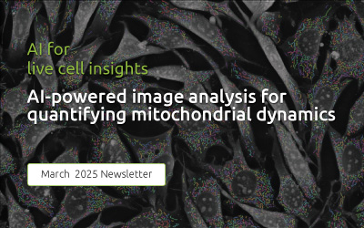 AI-powered image analysis for quantifying mitochondrial dynamics