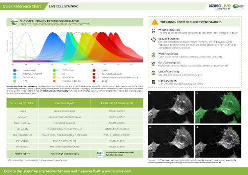 Live cell dyes poster