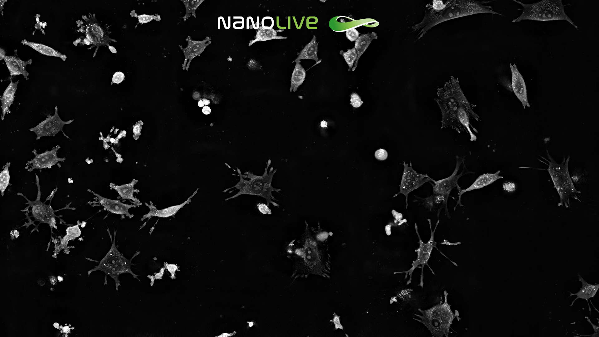 Rotenone perturbation in 3T3-derived pre-adipocyte cells CX-A Rotenone perturbation in 3T3-derived pre-adipocyte cells CX-A