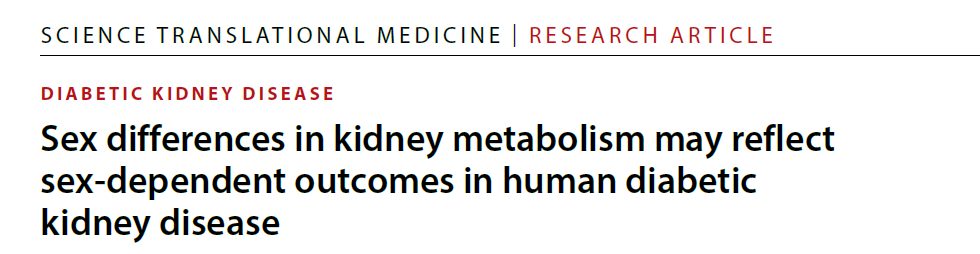 Sex differences in kidney metabolism Sex differences in kidney metabolism