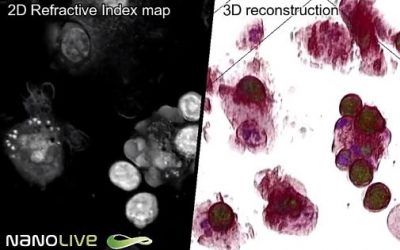Join us at the ELMI meeting from 4 – 7 June in Brno, Czech Republic