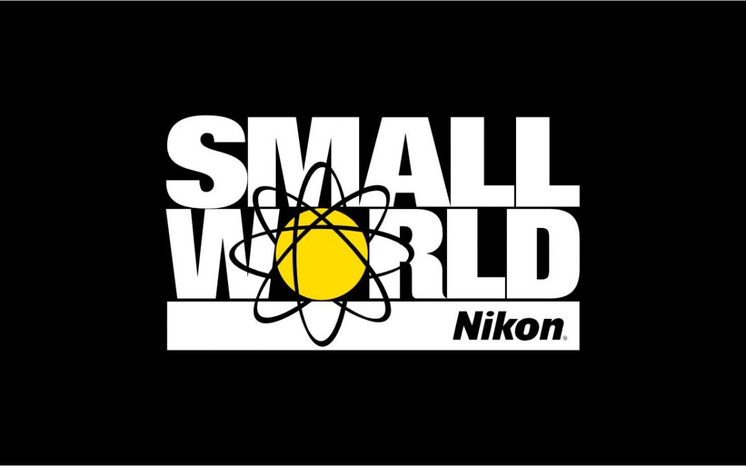 Participate in the Nikon Small World Competition with your Nanolive live cell images & videos!