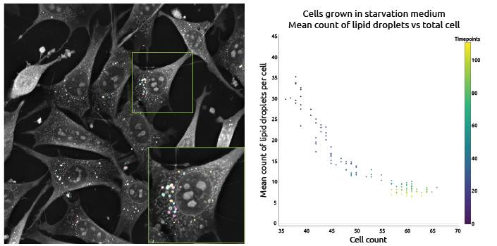 Smart Lipid Droplet Assay Smart Lipid Droplet Assay