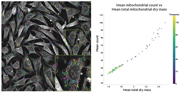Smart Mitochondrial Assay Smart Mitochondrial Assay