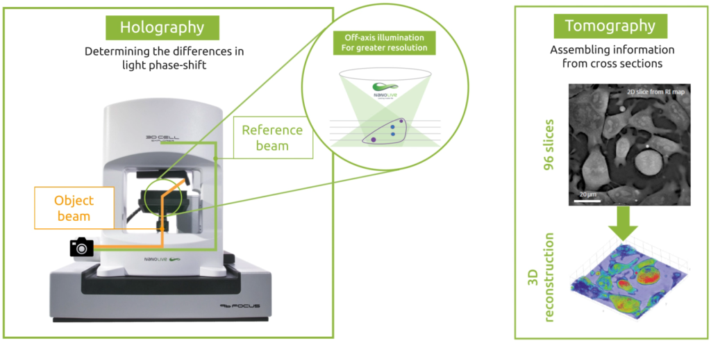 Nanolive’s holotomography: an imaging technique combining holography and tomography. Nanolive’s holotomography: an imaging technique combining holography and tomography.