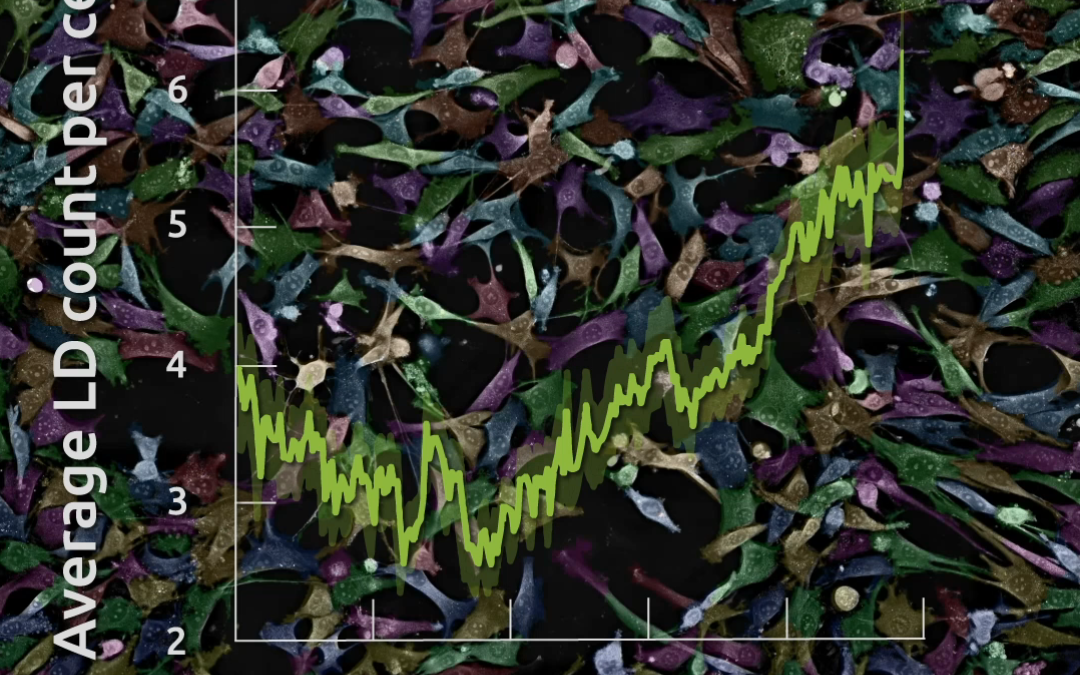 Watch Nanolive’s webinar “Label-free quantification of cell metabolism: focus on mitochondria and lipid droplets dynamics”