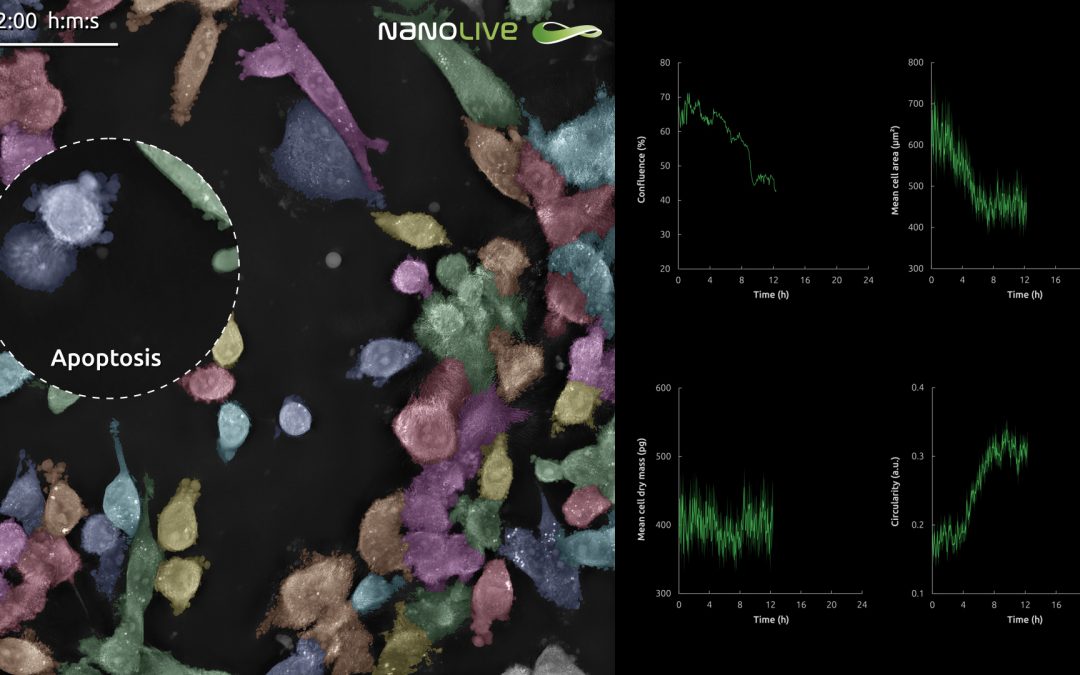 Watch Nanolive’s new webinar: “Increase biological relevance and simplify your discovery workflow”
