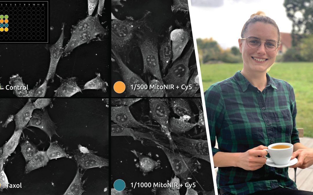 Take a tea break with Emma and discover how to quantify cell cytotoxicity in 96 WP format label-free